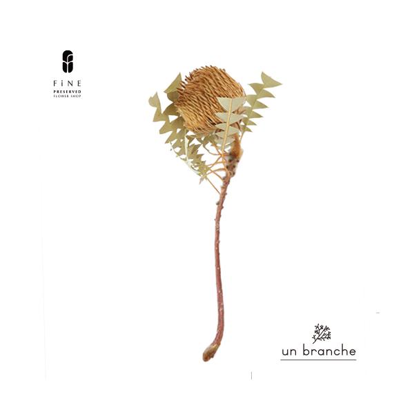 ナチュラルな色合いと質感を自在に楽しむ、ドライとプリザFiNEの花材やさん「un branche（アンブランシュ）」。シンプルインテリアに、ホワイトインテリア、北欧インテリアにそのまま飾って頂いたり、スワッグやリースなどハンドメイド花材とし...