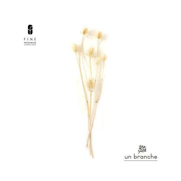 ナチュラルな色合いと質感を自在に楽しむ、ドライとプリザFiNEの花材やさん「un branche（アンブランシュ）」。シンプルインテリアに、ホワイトインテリア、北欧インテリアにそのまま飾って頂いたり、スワッグやリースなどハンドメイド花材とし...