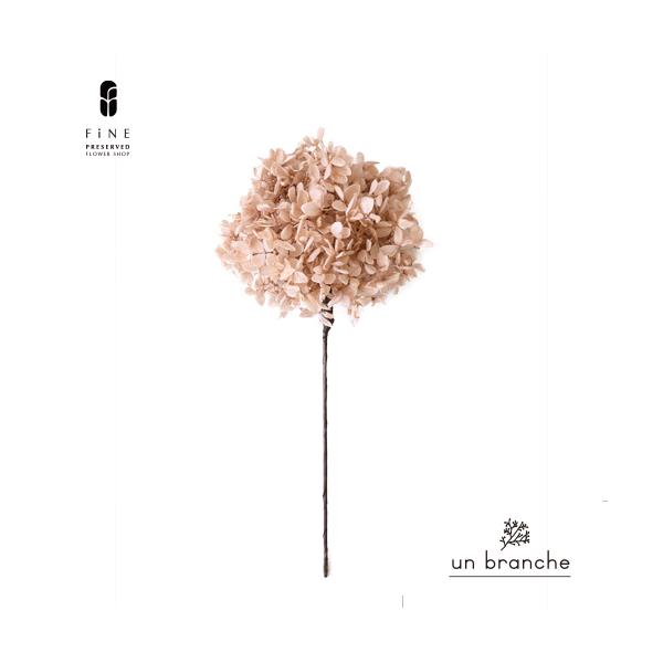ナチュラルな色合いと質感を自在に楽しむ、ドライとプリザFiNEの花材やさん「un branche（アンブランシュ）」。シンプルインテリアに、ホワイトインテリア、北欧インテリアにそのまま飾って頂いたり、スワッグやリースなどハンドメイド花材とし...