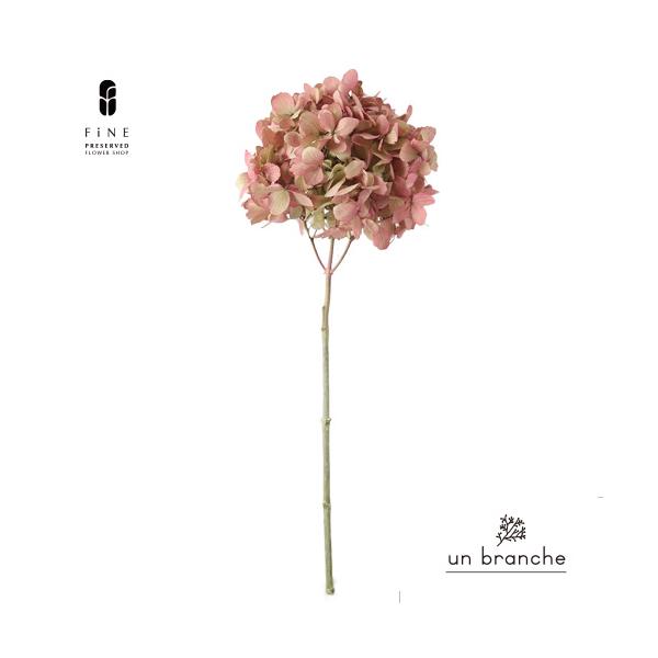 ナチュラルな色合いと質感を自在に楽しむ、ドライとプリザFiNEの花材やさん「un branche（アンブランシュ）」。シンプルインテリアに、ホワイトインテリア、北欧インテリアにそのまま飾って頂いたり、スワッグやリースなどハンドメイド花材とし...