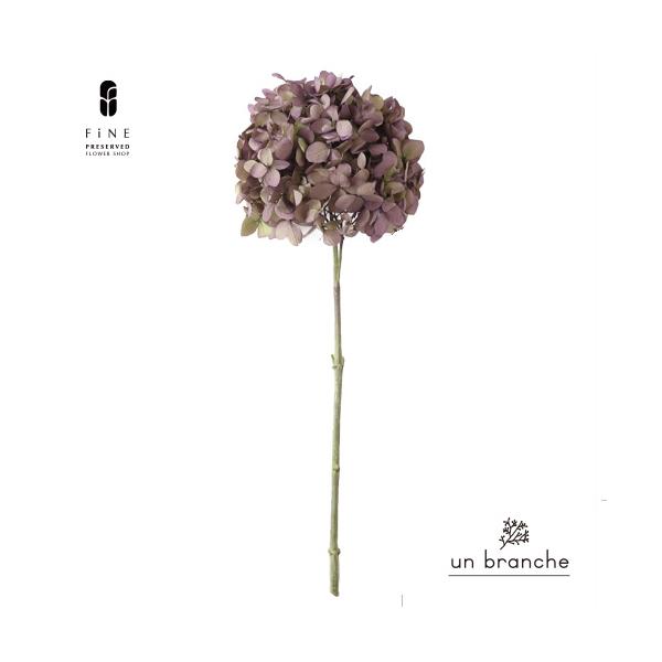 ナチュラルな色合いと質感を自在に楽しむ、ドライとプリザFiNEの花材やさん「un branche（アンブランシュ）」。シンプルインテリアに、ホワイトインテリア、北欧インテリアにそのまま飾って頂いたり、スワッグやリースなどハンドメイド花材とし...