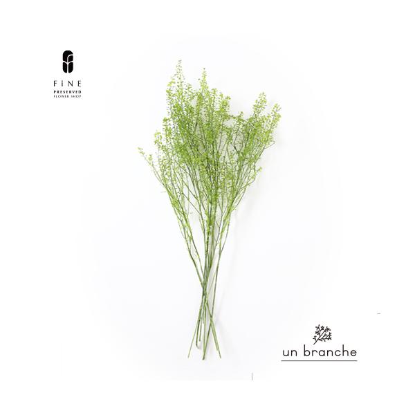 ナチュラルな色合いと質感を自在に楽しむ、ドライとプリザFiNEの花材やさん「un branche（アンブランシュ）」。シンプルインテリアに、ホワイトインテリア、北欧インテリアにそのまま飾って頂いたり、スワッグやリースなどハンドメイド花材とし...