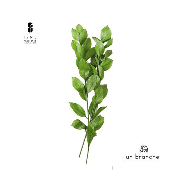 ナチュラルな色合いと質感を自在に楽しむ、ドライとプリザFiNEの花材やさん「un branche（アンブランシュ）」。シンプルインテリアに、ホワイトインテリア、北欧インテリアにそのまま飾って頂いたり、スワッグやリースなどハンドメイド花材とし...