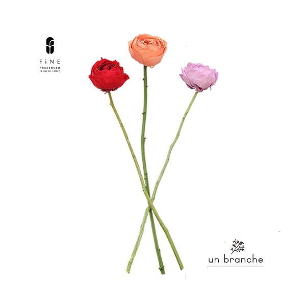 ナチュラルな色合いと質感を自在に楽しむ、ドライとプリザFiNEの花材やさん「un branche（アンブランシュ）」。シンプルインテリアに、ホワイトインテリア、北欧インテリアにそのまま飾って頂いたり、スワッグやリースなどハンドメイド花材とし...