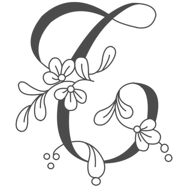 t@Cz[̃VNXN[vg@X[TCY@sis-123@ԕ@T