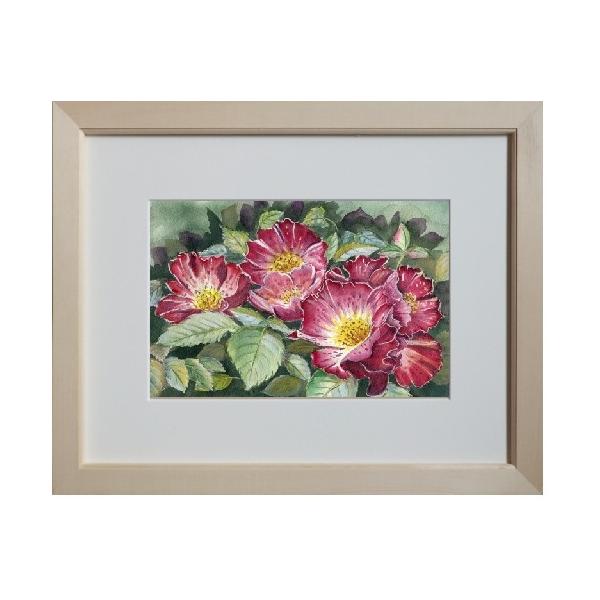 バラ 水彩画の人気商品 通販 価格比較 価格 Com