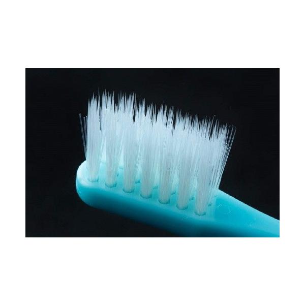 磨きやすい歯ブラシ スタンダード 先細毛タイプ 600本セット ライフレンジ Lt 02 ファインコスメセレクション ライフレンジ 送料無料 オーラルケア まとめ買い 600本セット