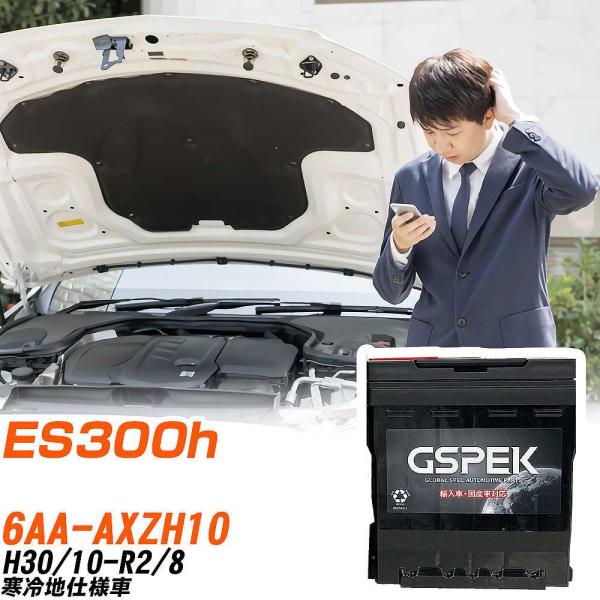 レクサス ES300h バッテリー LN2 6AA-AXZH10 H30/10-R2/8 D-56219/PL GSPEK 【H04006】
