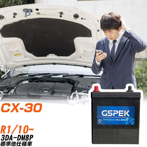 マツダ CX-30 バッテリー W-S100/PL 3DA-DM8P R1/10- GSPEK 【H04006】