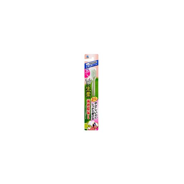 小林製薬 生葉 もふもふ磨けるブラシ レギュラーヘッド やわらかめ 1本