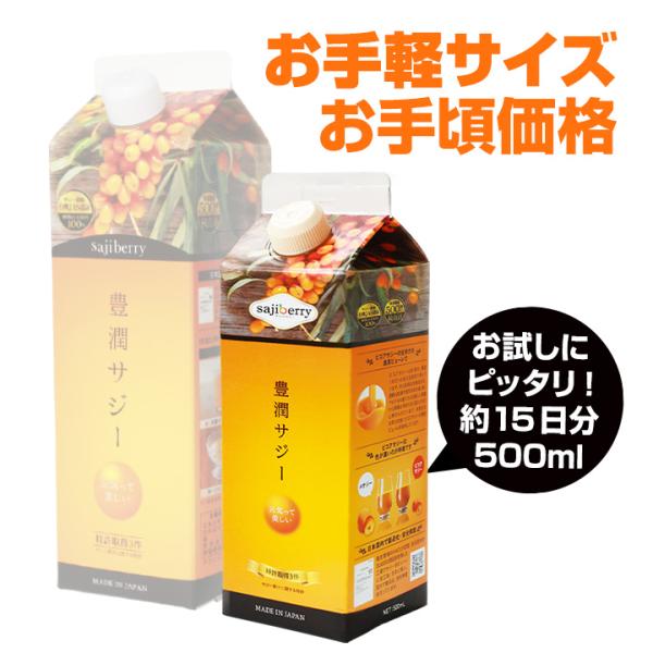 豊潤サジー 500ml サジージュース 紙パックタイプ 公式 フィネス