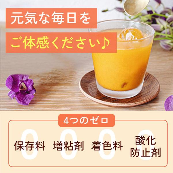 豊潤サジー アプリコットテイスト 1000ml（紙パック） 公式 フィネス