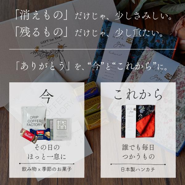 �n���J�` ���َq �v���[���g �M�t�g �v�`�M�t�g �ސE ������� �G�� �ސE ����̕i �R�[�q�[ ���� �a���� ���킢�� ���i�摜4