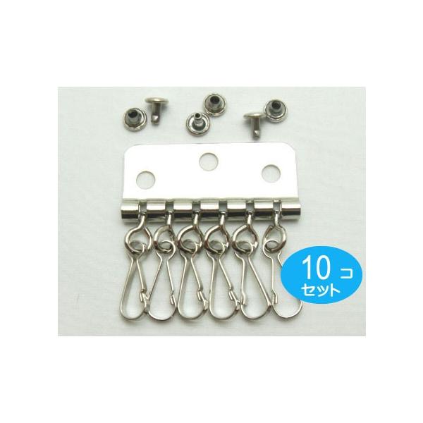 10�Z�b�g�@�L�[�P�[�X 6�A�^�C�v �V���o�[�@�J�V���t�� ���{��