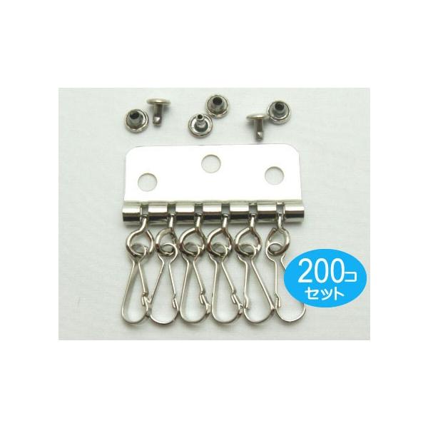 200�Z�b�g�@�L�[�P�[�X 6�A�^�C�v �V���o�[�@�J�V���t�� ���{��