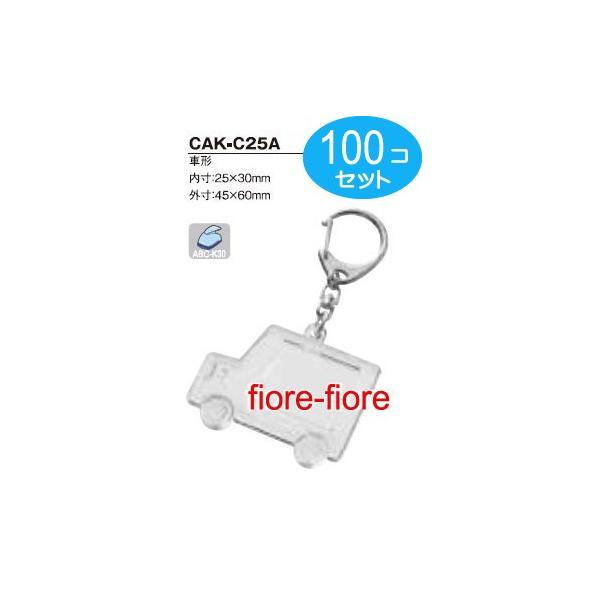 100Zbg@np`M[^Cv@Ԍ^ CAK-C25A@2530 P18