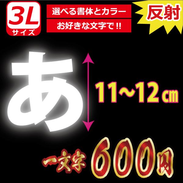 ꕶ琻  I[_[Ch XebJ[ ʏ  3LTCYcPP`PQ IWi  oCN