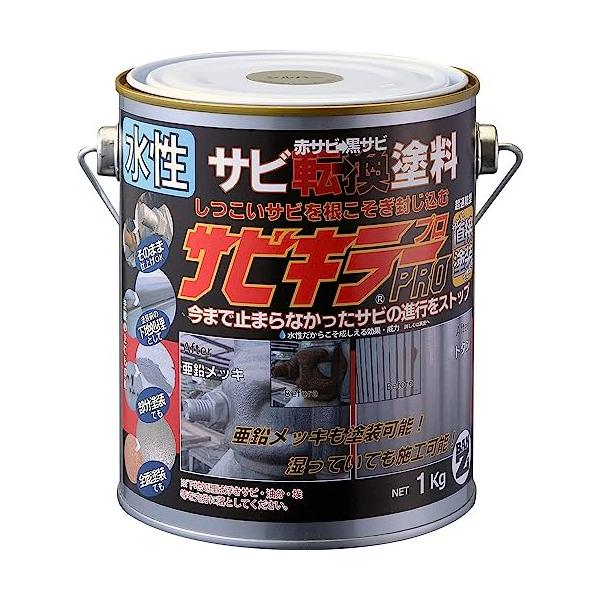 BAN-ZI サビキラー プロ 1KG シルバー 770026