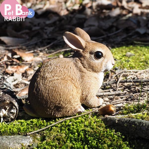 magnet PET BANK ウサギ 貯金箱 インテリア 置き物 かわいい 動物