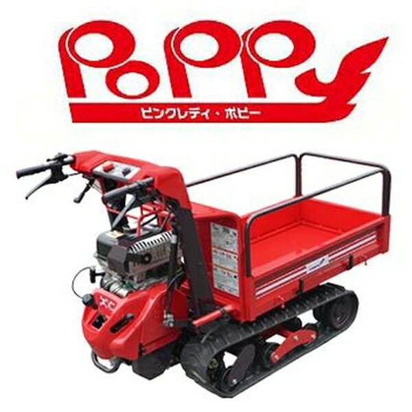 希少　筑水キャニコム　ピンクレディ 希少 筑水キャニコム ピンクレディ