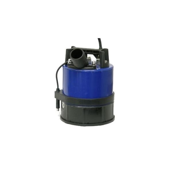 荏原製作所 水中ポンプ50EZQ5045S エバラ 水中ポンプ 50EZQA6.45S 50mm 電源：100V 60Hz(西日本用