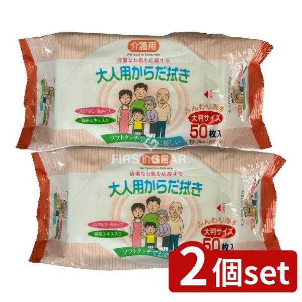 【2個セット】ペーパーテック 介護用大人用からだ拭き [単品内容量/50枚]