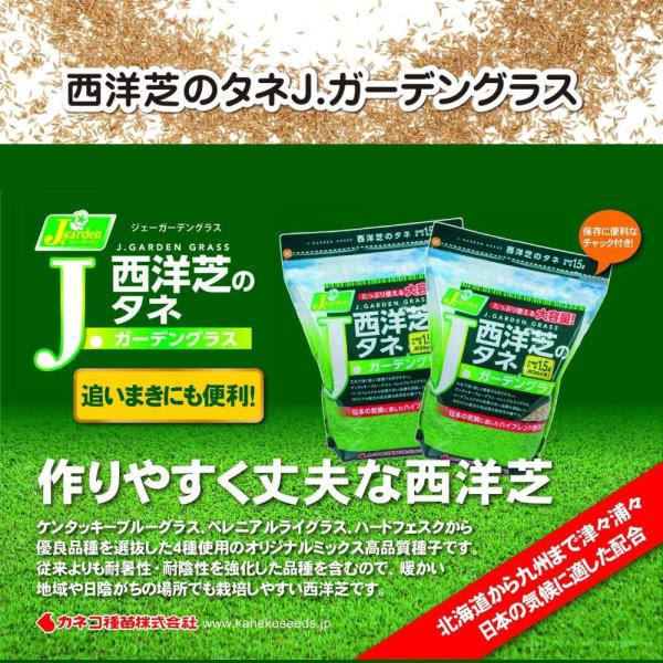 [関連word] 芝生のタネ