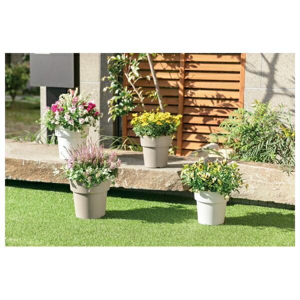 firstfactory_koji-490326673150202_3_d_20260219093826