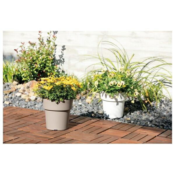 firstfactory_koji-490326673150202_4_d_20260219093852