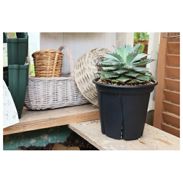 firstfactory_koji-490598011391610_3_d_20260219092859