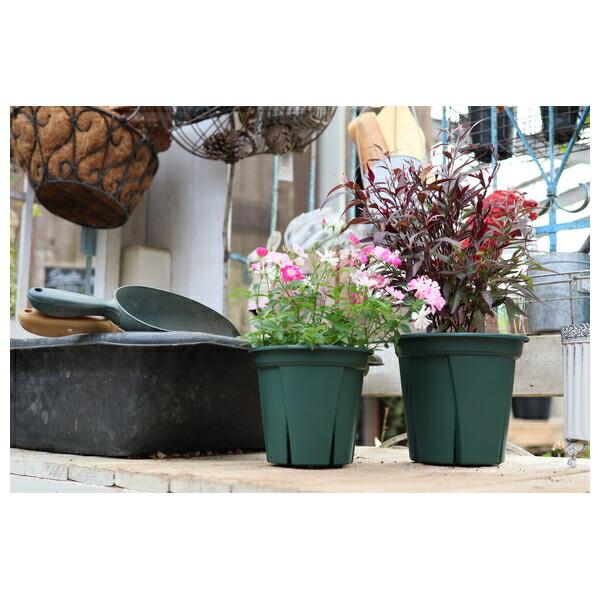 firstfactory_koji-490598011392310_3_d_20260219094357