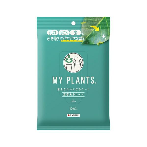KINCHO園芸 MYPLANTS葉をきれいにするシート 10枚 観葉植物 葉面洗浄