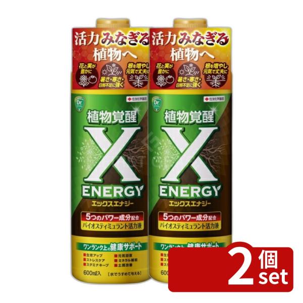 【2個セット】KINCHO園芸 X-ENERGY(エックスエナジー) 600ml 収穫量UP 植物元気