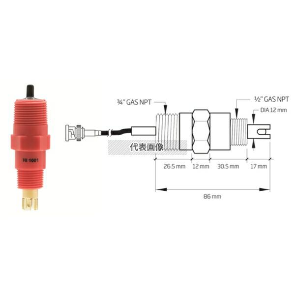 ハンナ インスツルメンツ・ジャパン Ph電極(ケーブル3m HI 1001