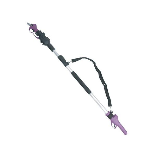 A~X(ALUMIS) }؂Y+|[Zbg ASH-25M + ASH-25MSE (d͂ݖ{+p|[)y݌ɗLz