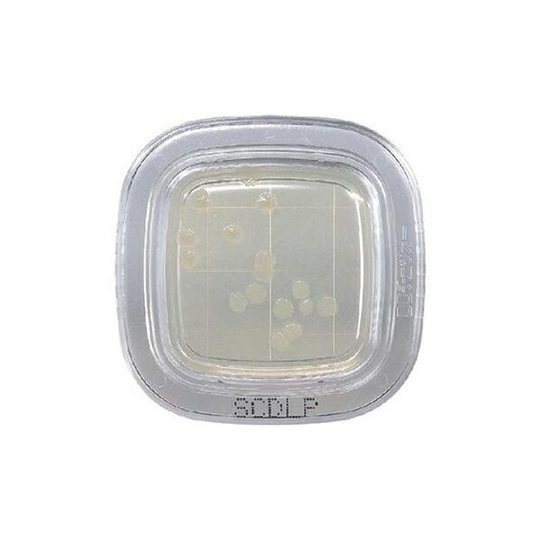 AY(AS ONE) ؂`FbNDD SCDLPV|n PD0024 1(20)