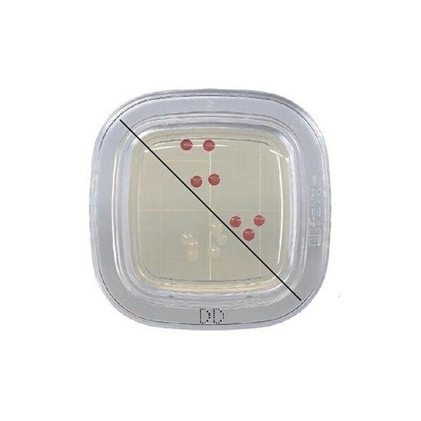 hw ؂`FbN?DD DDV|n 1i100j PD0002 1(100)