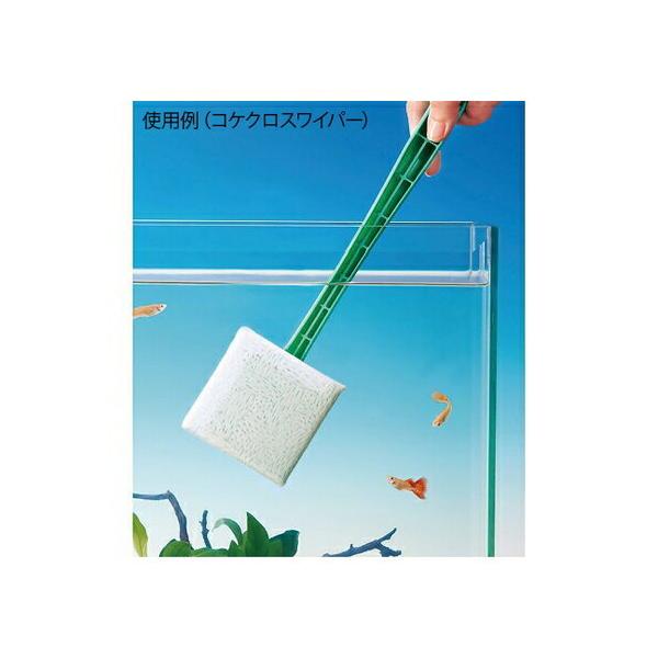 AY(AS ONE) eiXpi RPNXCp[~j 1Zbg