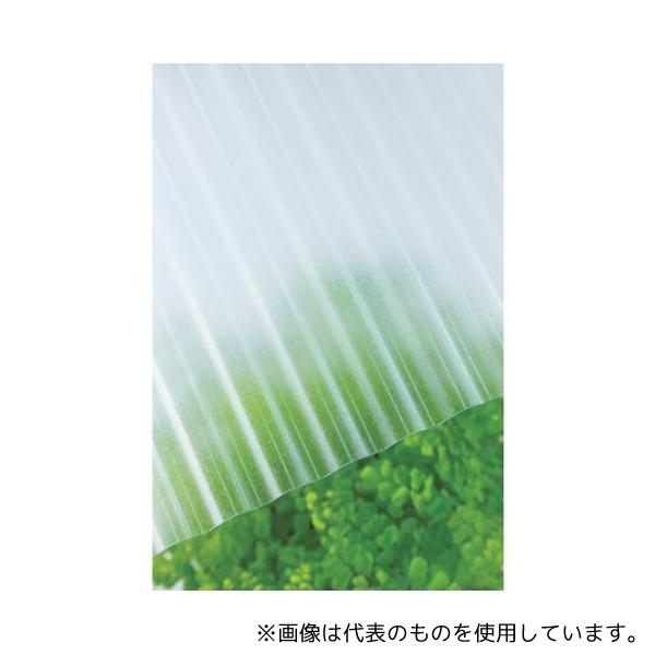 専用1 タキロンシーアイ 217620 ポリカ波板 32波 6尺 650クリア