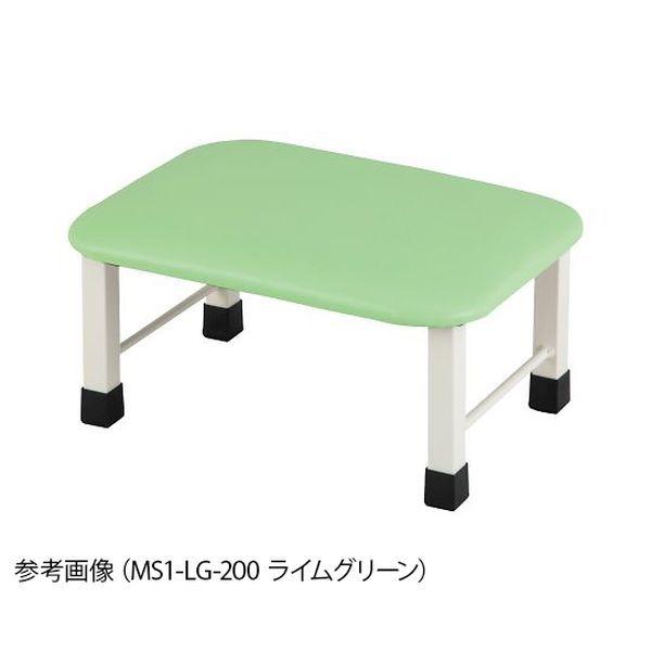 irXiAYj  ~jݑ 1i 400×300×200mm AC{[ MS1-IV-200