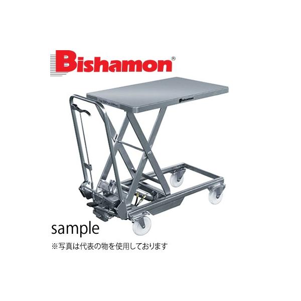 rV(XMX) e[u^Cv t^[BX N[{[C2(II) (XeXdlj BXS10T őύڔ\́F100kg [ʓrς]