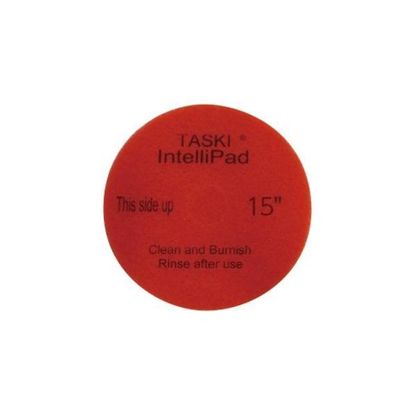 CXS(�V�[�o�C�G�X) TASAKI �C���e���p�b�h 11�C���` No.6008257 2��