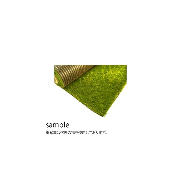O[tB[h A[^[t 1M×10M O 40mm RET40FR-1-10K lH [@l]