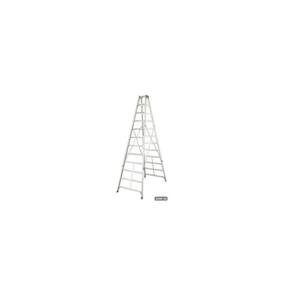 ���J��H�� ��p�r�� ���ڃ^�C�v XAM-36b(���^��:XAM3.0-36) �A���~�� [�����ʓr�����ς�][�@�l����]