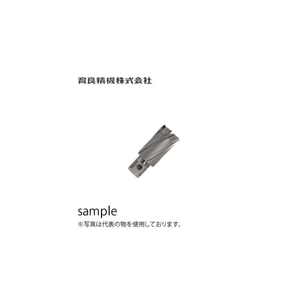 ��ǐ��@(�C�N��)�@CCSQ320�@35SQ�N�����L�[�J�b�^�[�i���d�j�@���a�F��32.0mm