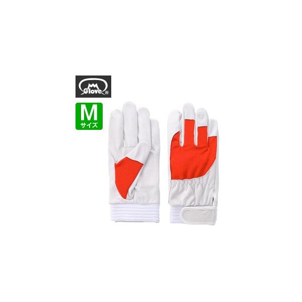 xmO[u  AX[g F-505 ؔNXg bh MTCY[5879] 1o :FG7907