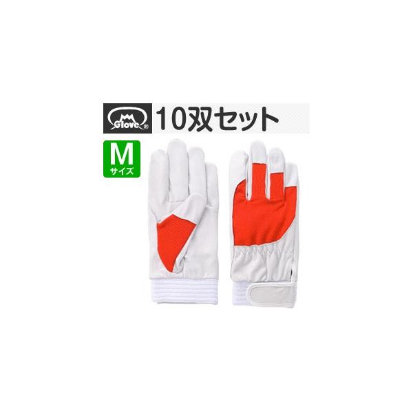 xmO[u  AX[g F-505 ؔNXg bh MTCY[5879] 10oZbg :FG7907