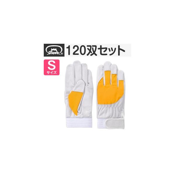 xmO[u  AX[g F-505 ؔNXg CG[ STCY[5882] 1120oZbg:FG8201