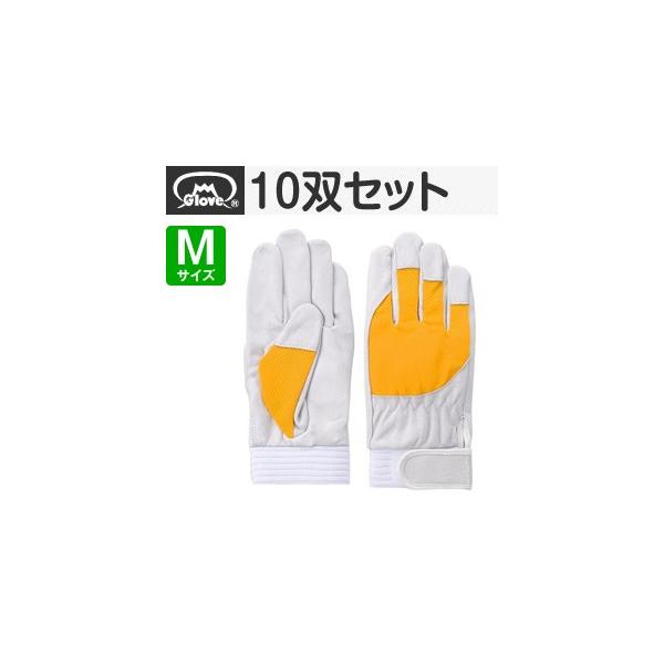 xmO[u  AX[g F-505 ؔNXg CG[ MTCY[5883] 10oZbg :FG8300