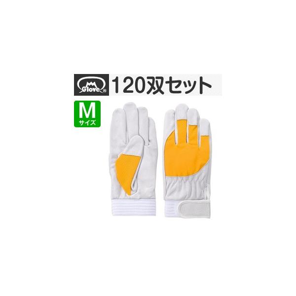 xmO[u  AX[g F-505 ؔNXg CG[ MTCY[5883] 1120oZbg :FG8300